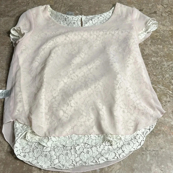 Floral White ,off white,lace sheer top ,with pink underlay, Ariztia Talula, - Picture 16 of 17